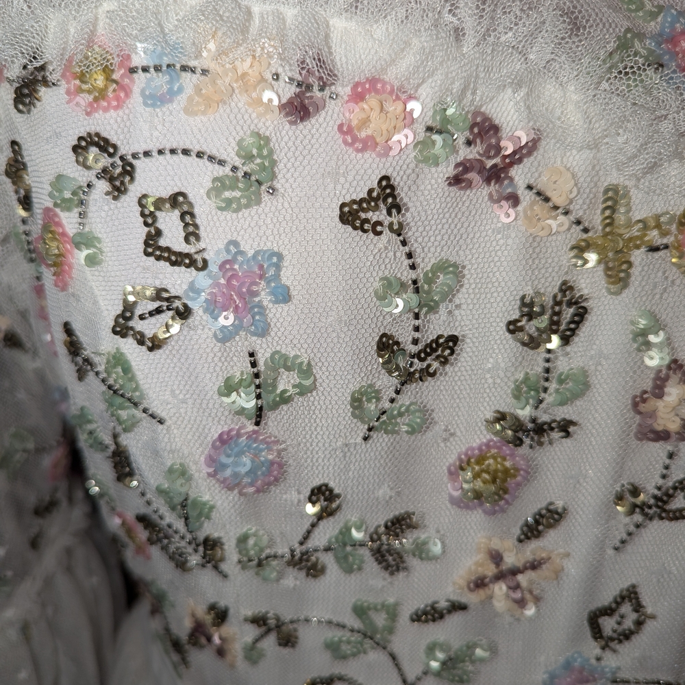 Floral Embroidered Sheer Dress - Picture 7 of 8